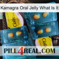 Kamagra Oral Jelly What Is It cialis5